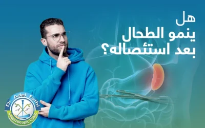 هل ينمو الطحال بعد استئصاله؟ ما بين الحقيقة والخرافة!