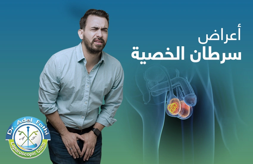 اعراض-سرطان-الخصية أعراض سرطان الخصية